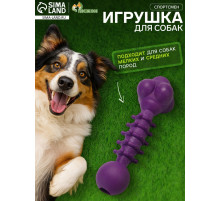 Жевательная игрушка для собак «Спортсмен», 15.5 см, TPR, фиолетовая