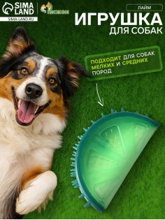 Игрушка охлаждающая для собак «Лайм», 12.5 см, TPR