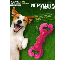 Жевательная игрушка для собак«Краб», прозрачная, 12 см, TPR, розовая