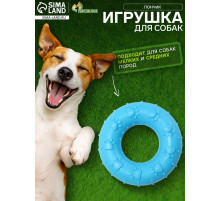 Жевательная игрушка для собак «Пончик», 7 см, голубая