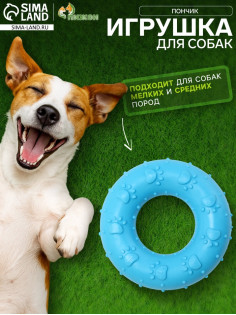 Жевательная игрушка для собак «Пончик», 7 см, голубая