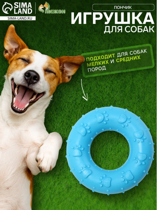 Жевательная игрушка для собак «Пончик», 7 см, голубая