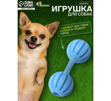 Жевательная игрушка для собак «Силач», 15 см, TPR, голубая
