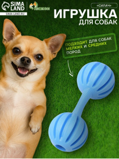 Жевательная игрушка для собак «Силач», 15 см, TPR, голубая