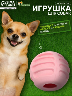 Мяч для собак «Полосатик», 6 см, рифлёный, TPR, розовый