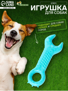 Массажная игрушка для собак «Ключ» 14 см, TPR, МИКС