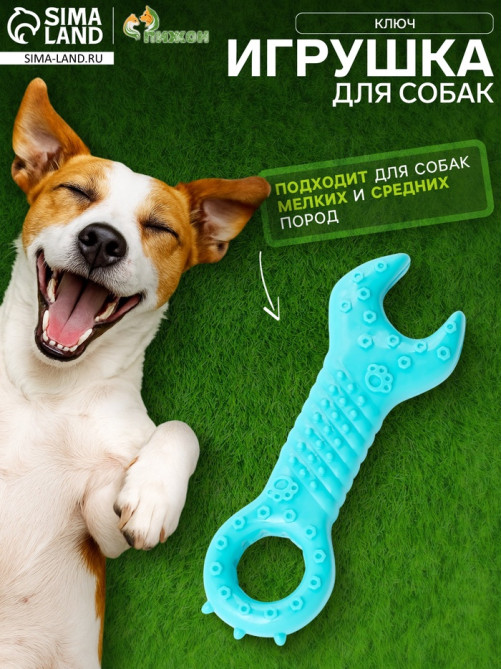 Массажная игрушка для собак «Ключ» 14 см, TPR, МИКС