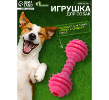 Жевательная игрушка для собак «Чемпион», 12.5 см, TPR, розовая