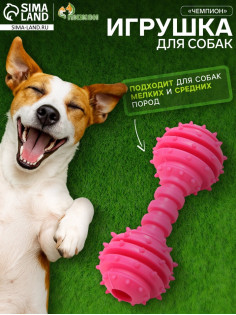 Жевательная игрушка для собак «Чемпион», 12.5 см, TPR, розовая