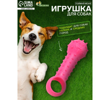 Игрушка-дразнилка для собак «Поймай меня!», 9.5 см, TPR, розовая