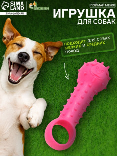 Игрушка-дразнилка для собак «Поймай меня!», 9.5 см, TPR, розовая