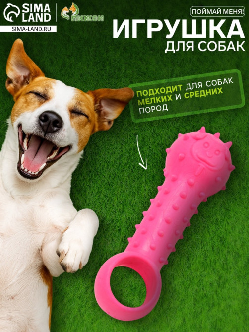 Игрушка-дразнилка для собак «Поймай меня!», 9.5 см, TPR, розовая