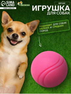 Мячик для собак, 6 см, цельнолитой, прыгучий, TPR, розовый