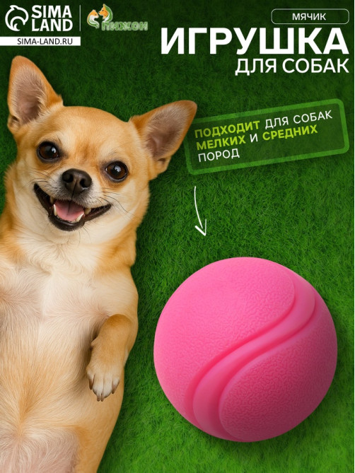 Мячик для собак, 6 см, цельнолитой, прыгучий, TPR, розовый