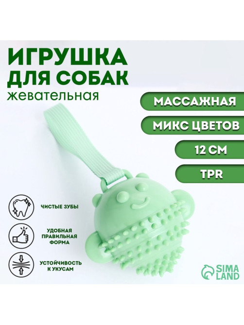 Массажная игрушка для собак «Монстр» 12 см, TPR, МИКС