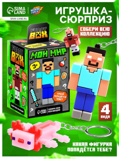 Игрушка - сюрприз Funny box WOOW TOYS «Мой мир»: детский брелок, наклейки