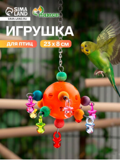 Игрушка для птиц «Большая забава», 23 см, цвет МИКС