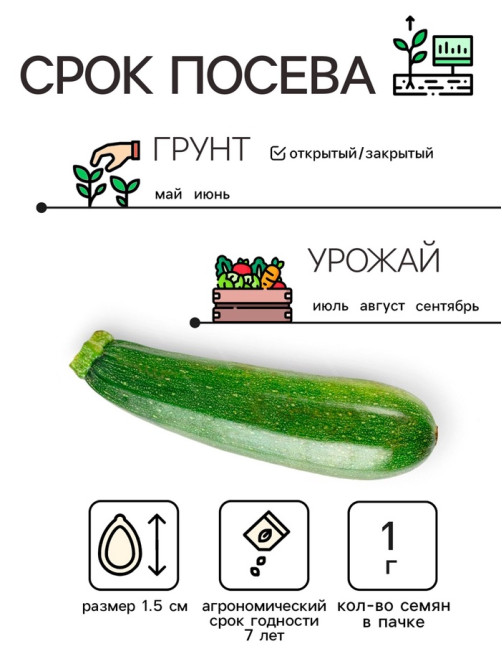 Семена Кабачок «Скворушка», 1 г, раннеспелый, «Рецепты дедушки Никиты»