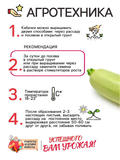 Семена Кабачок «Белоплодные», 1 г, раннеспелый, «Рецепты дедушки Никиты»