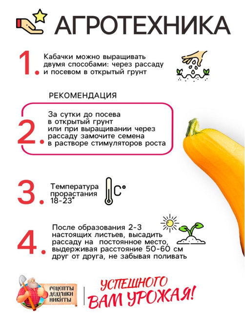 Семена Кабачок цукини «Желтоплодный», 1 г, скороспелый, «Рецепты дедушки Никиты»