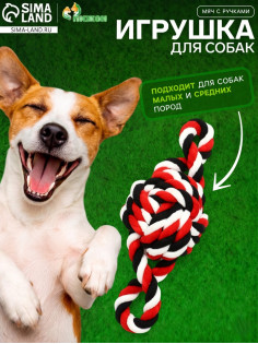 Игрушка для собак канатная «Мяч с ручками», мяч 22 см, до 130 г