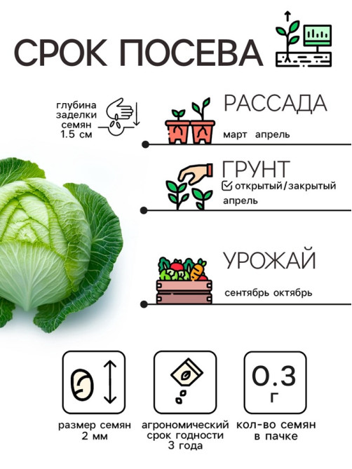 Семена Капуста белокочанная «Подарок», 0.3 г, среднепоздняя, «Рецепты дедушки Никиты»