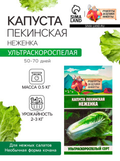 Семена Капуста пекинская «Неженка», 0.1 г, ультраскороспелая, «Рецепты дедушки Никиты»