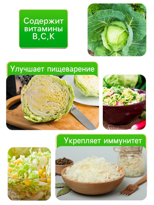 Семена Капуста белокочанная «Зимовка 1474», 0.1 г