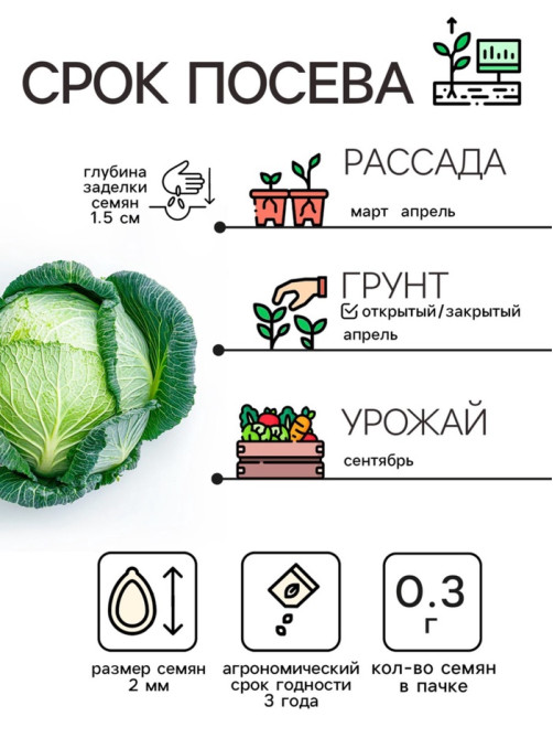 Семена Капуста белокочанная «Июньская», 0.5 г, скороспелая, «Рецепты дедушки Никиты»