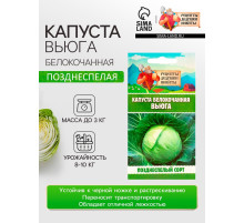 Семена Капуста белокочанной «Вьюга», 0.3 г, позднеспелая, «Рецепты дедушки Никиты»