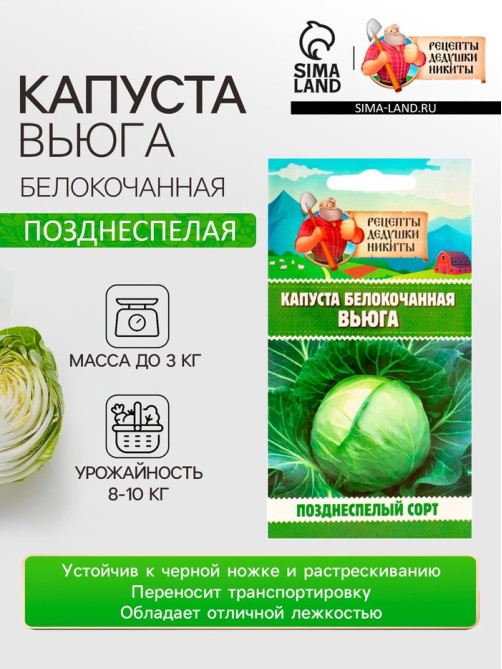 Семена Капуста белокочанной «Вьюга», 0.3 г, позднеспелая, «Рецепты дедушки Никиты»