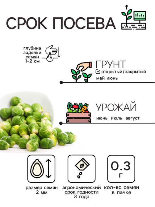 Семена Капуста брюссельская «Розелла», 0.3 г, среднеранняя, «Рецепты дедушки Никиты»