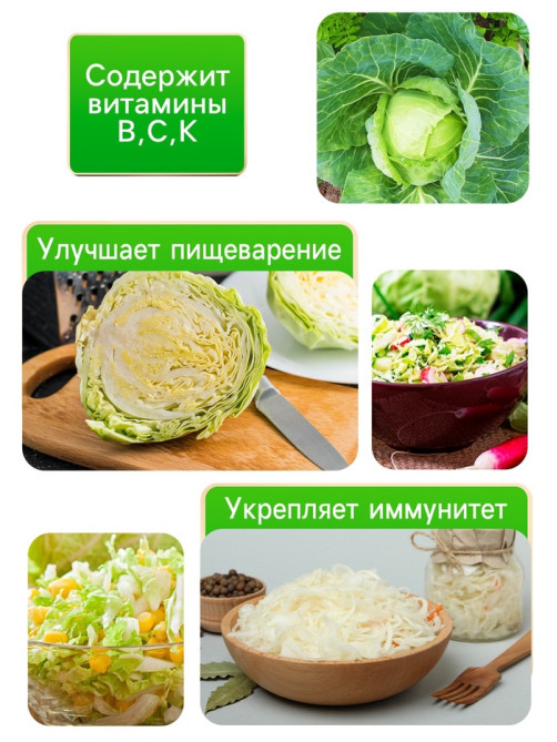 Семена Капуста белокочанная «Белорусская 455», 0.3 г, среднеспелая, «Рецепты дедушки Никиты»