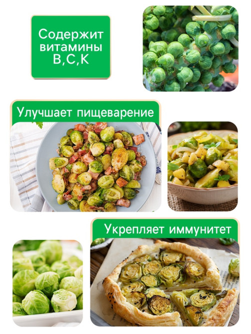 Семена Капуста брюссельская «Розелла», 0.3 г, среднеранняя, «Рецепты дедушки Никиты»