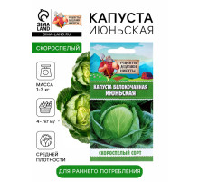 Семена Капуста белокочанная «Июньская», 0.5 г, скороспелая, «Рецепты дедушки Никиты»