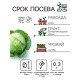 Семена Капуста белокочанная «Белорусская 455», 0.3 г, среднеспелая, «Рецепты дедушки Никиты»