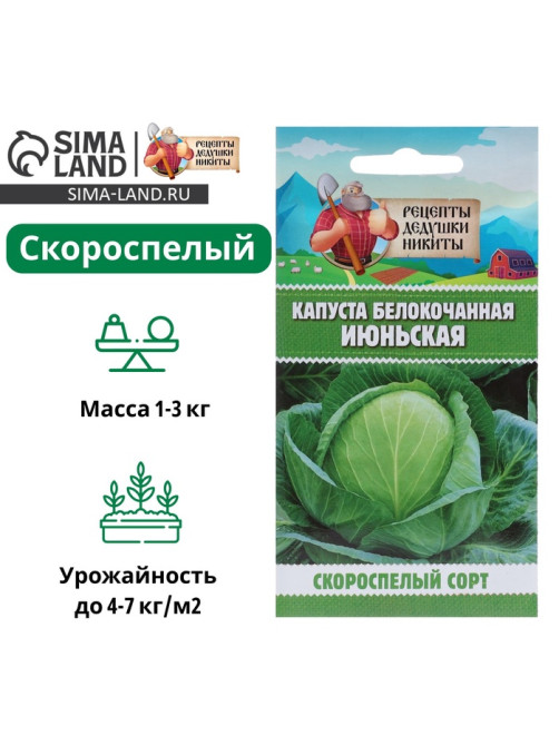 Семена Капуста белокочанная «Июньская», 0.5 г, скороспелая, «Рецепты дедушки Никиты»