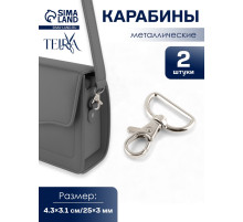 Карабин металлический TEIRA, набор 2 шт., 9.1 г, 4.3×3.1 см/25×3 мм, цвет серебряный