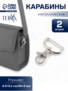 Карабин металлический TEIRA, набор 2 шт., 9.1 г, 4.3×3.1 см/25×3 мм, цвет серебряный