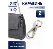 Карабин металлический TEIRA, набор 2 шт.,6.2 г 4.2×1.6 см/12×2 мм, цвет серебряный
