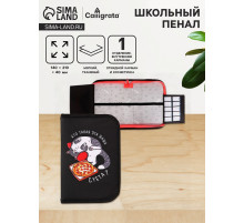 Пенал школьный, 1 секция, 14×21×4 см «Кот суета»