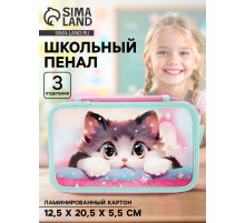 Пенал школьный, 3 секции, 12.5×20.5×5.5 см «Кот Корея»