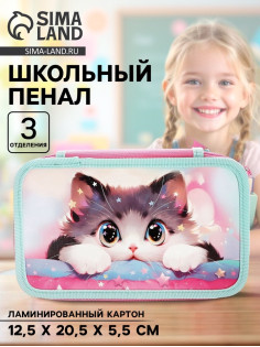Пенал школьный, 3 секции, 12.5×20.5×5.5 см «Кот Корея»