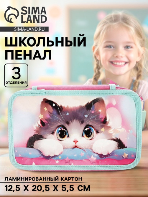 Пенал школьный, 3 секции, 12.5×20.5×5.5 см «Кот Корея»