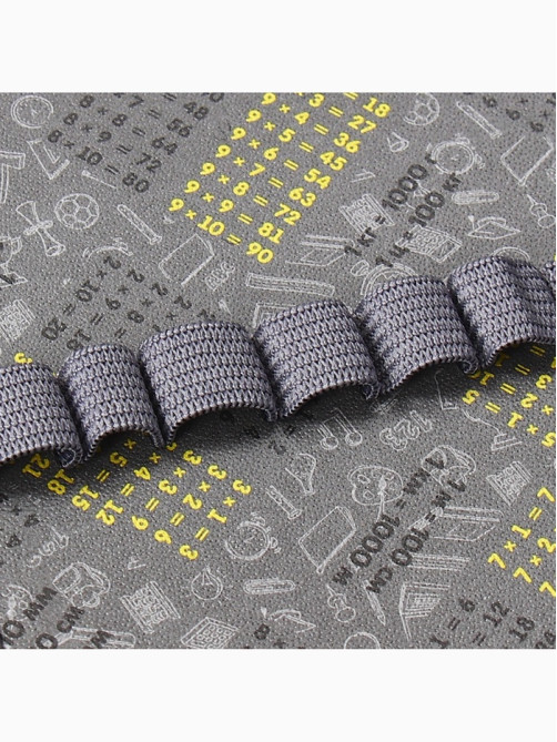 Пенал школьный, 2 секции, 12.5×20.5×4 см«Аниме»