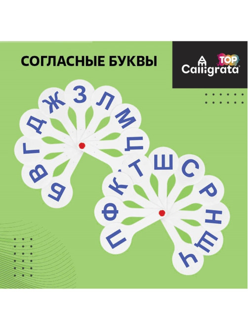 Набор веер-касс, гласные, согласные, цифры от 1 до 20, Calligrata TOP, плотные, 3 штуки, пакет с европодвесом
