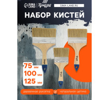 Набор кистей ТУНДРА, натуральная щетина, деревянная рукоятка, 3-4-5