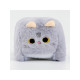 Мягкая игрушка «Кот - кубик», 9 см, набор 12 шт.