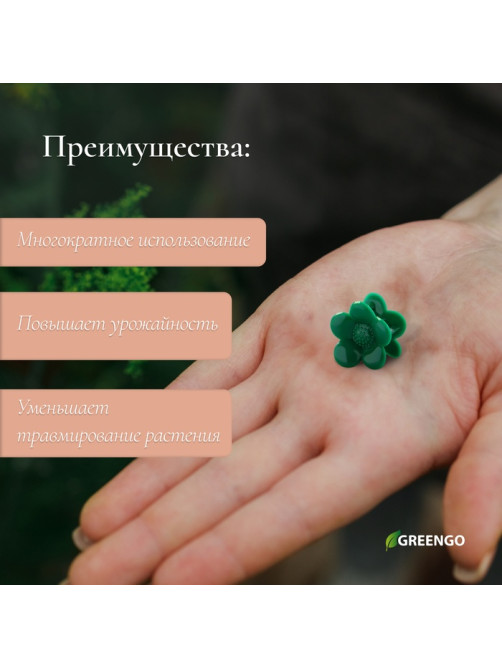 Клипса для растений «Ромашка», набор 10 шт., зелёный, Greengo