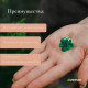 Клипса для растений «Незабудка», набор 10 шт., зелёный, Greengo